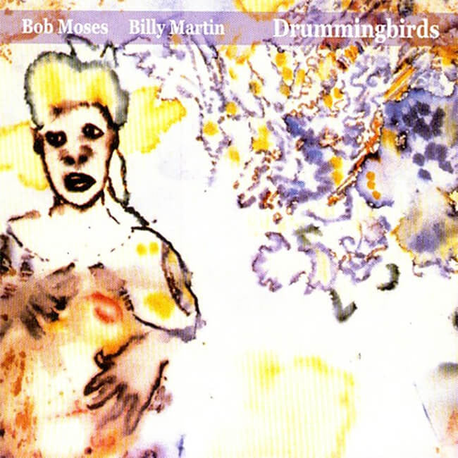 Bob Moses & Billy Martin - Drummingbirds CD