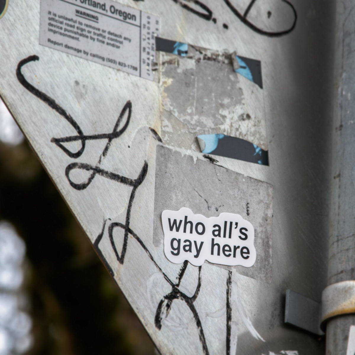 Who All’s Gay Here Sticker