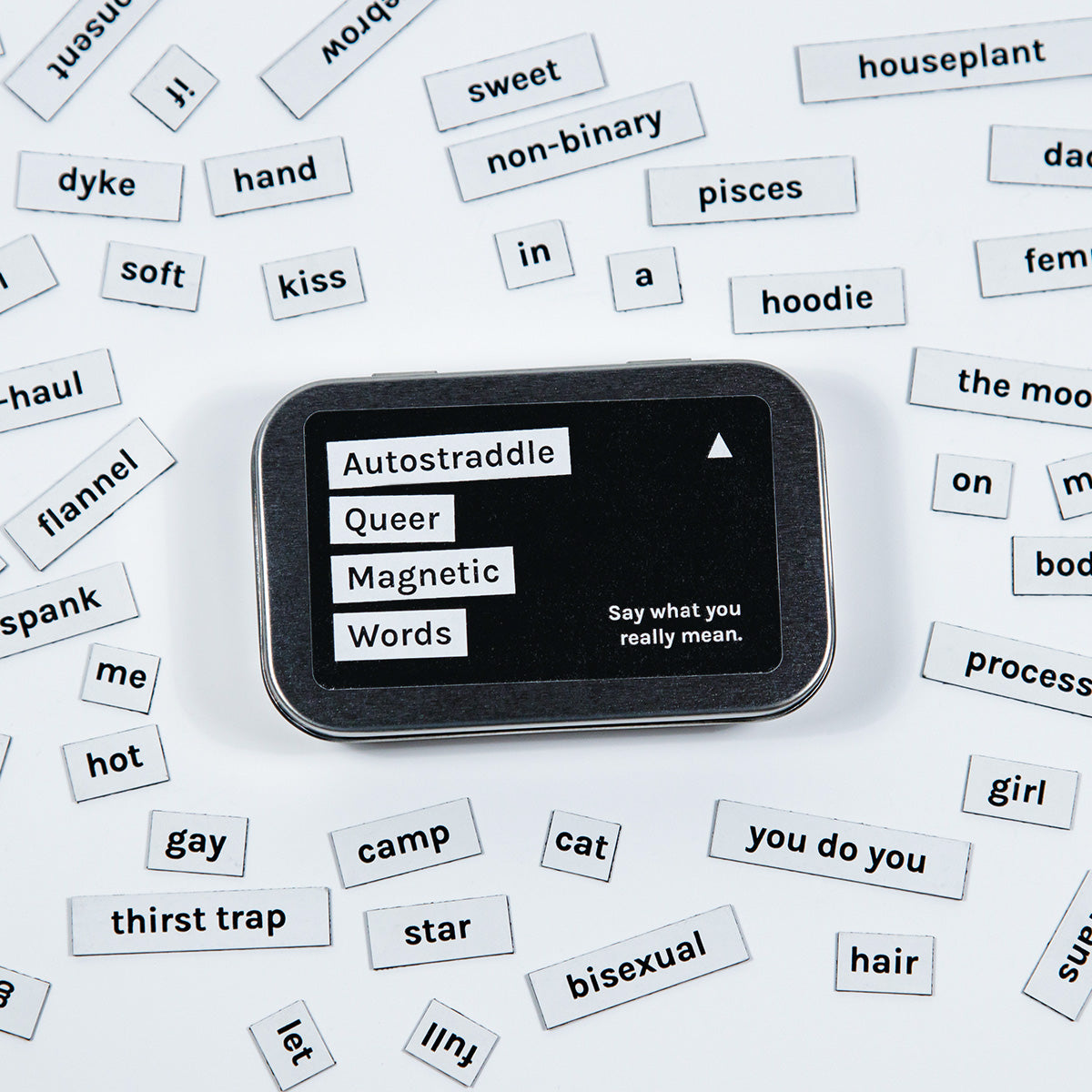Queer Magnetic Words Kit