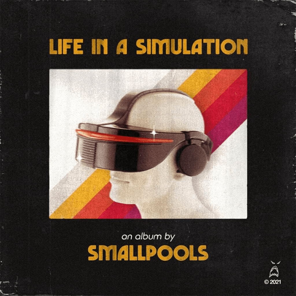 Life In A Simulation 12" Vinyl