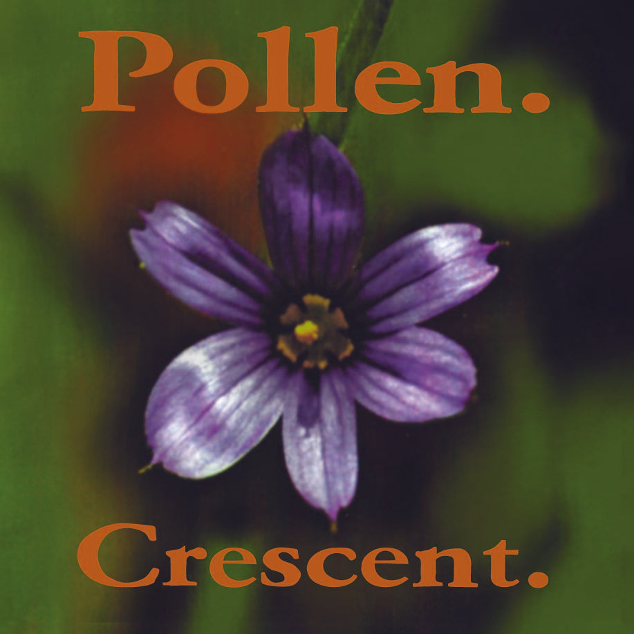 Pollen - Crescent Vinyl LP