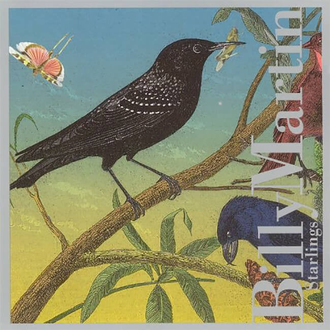 Starlings CD