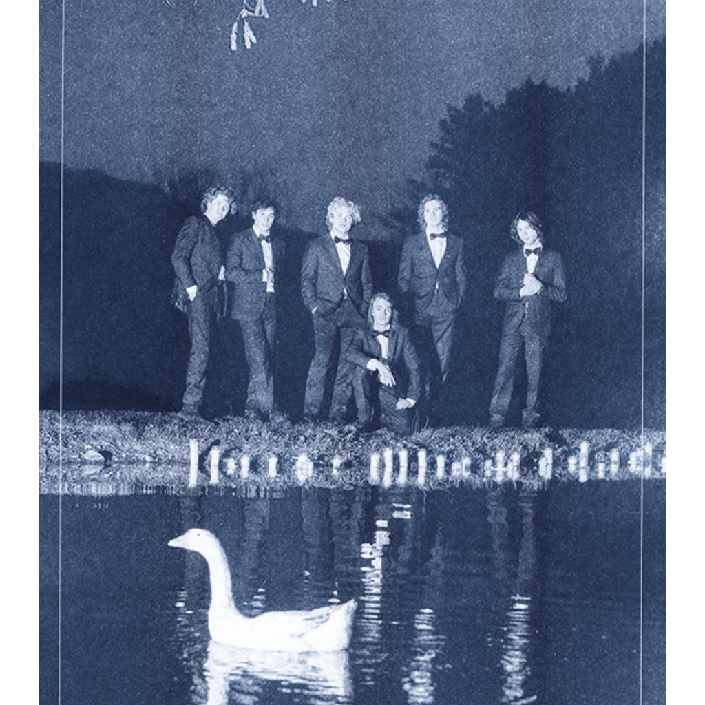 Signed Swan Risograph Print