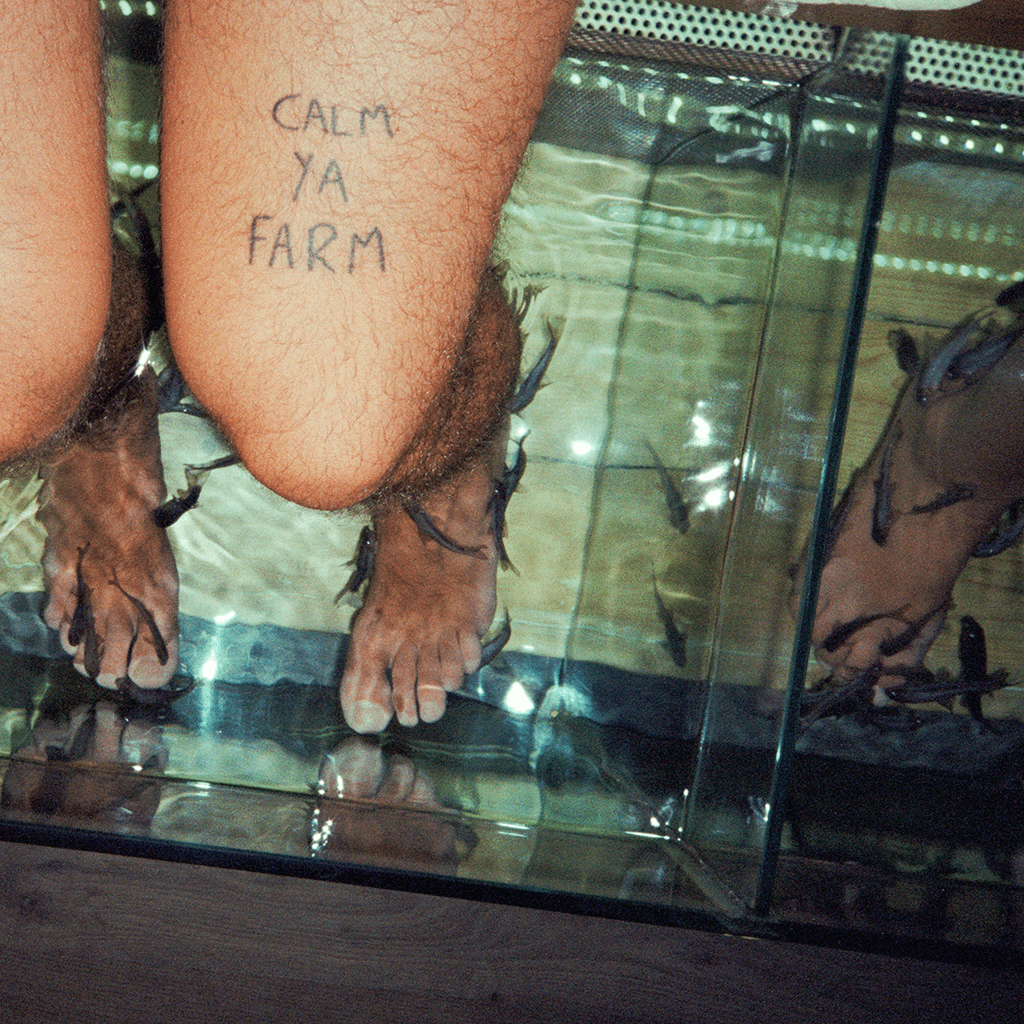 Calm Ya Farm - Webcam Pen Pal - 12" Vinyl