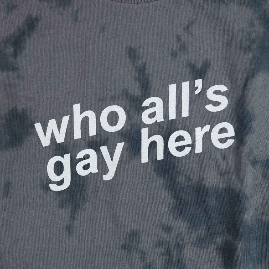 Who All's Gay Here Tie-Dye Tee