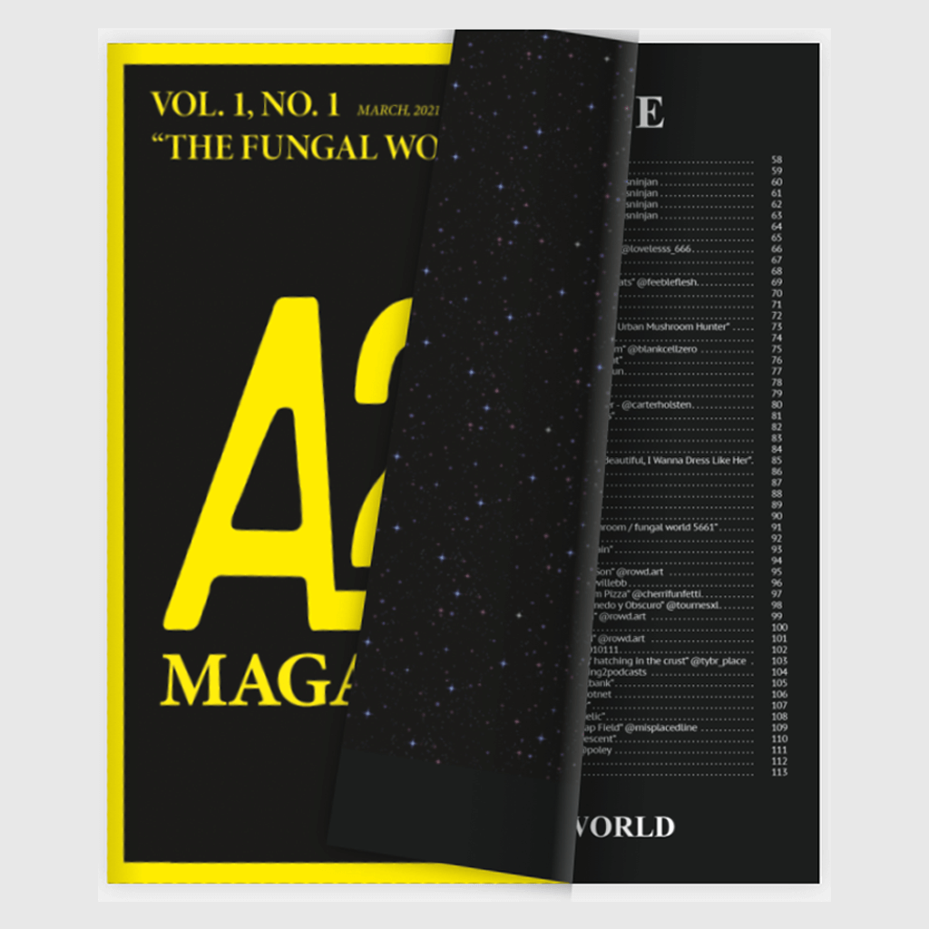 A2B2 Magazine, No. 1