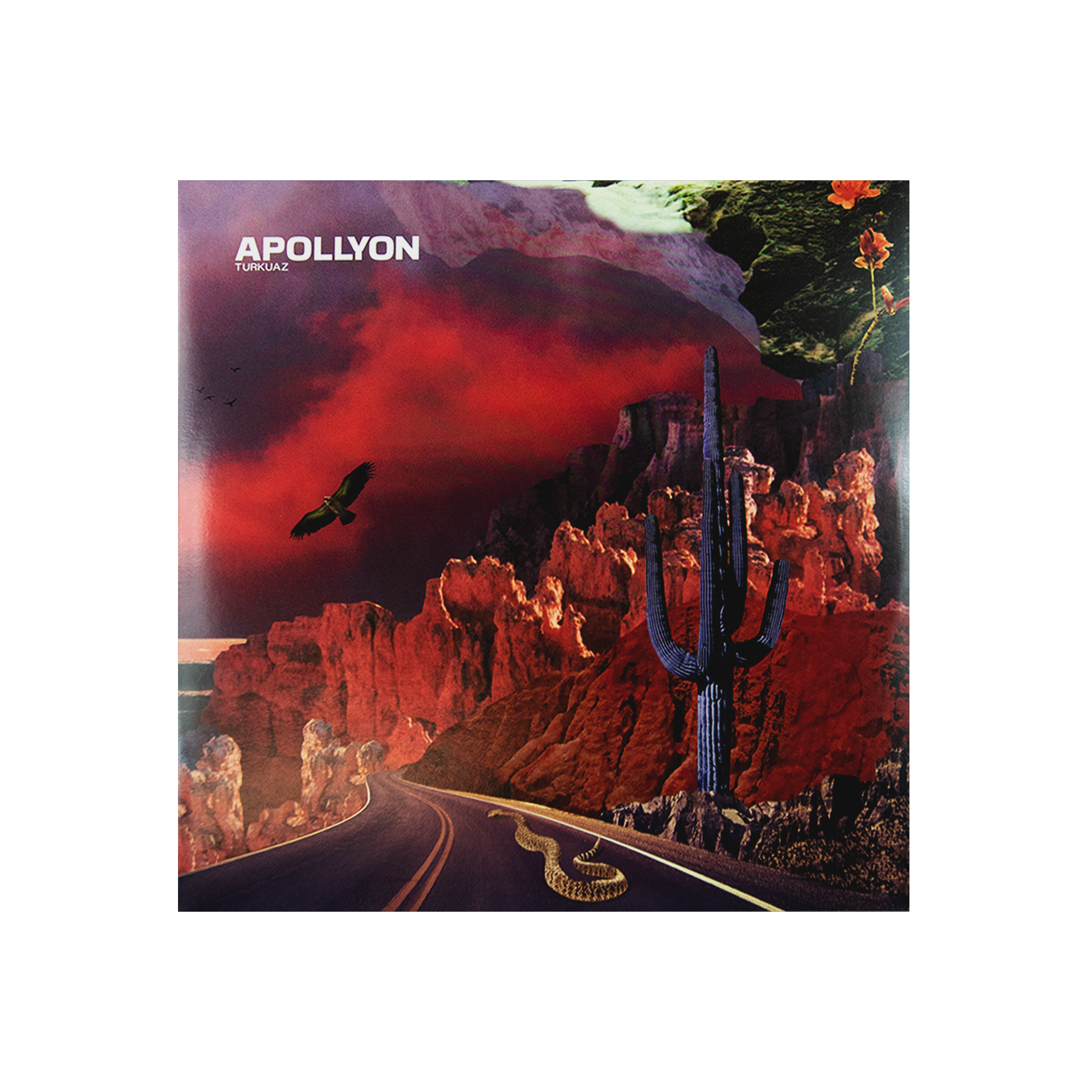 Apollyon Black Double Vinyl