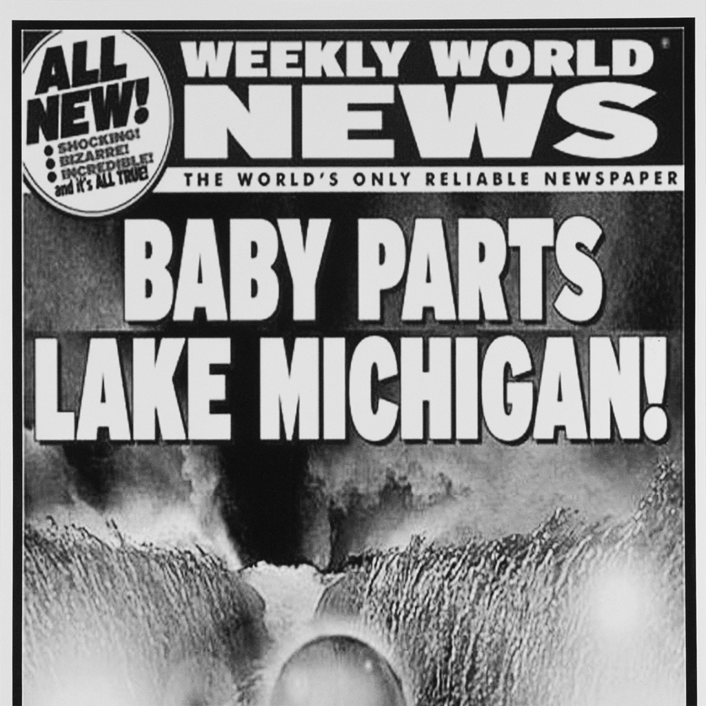 Baby Parts Lake Michigan! Poster