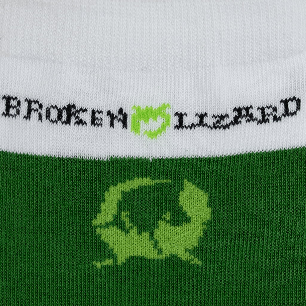 Lizard Socks