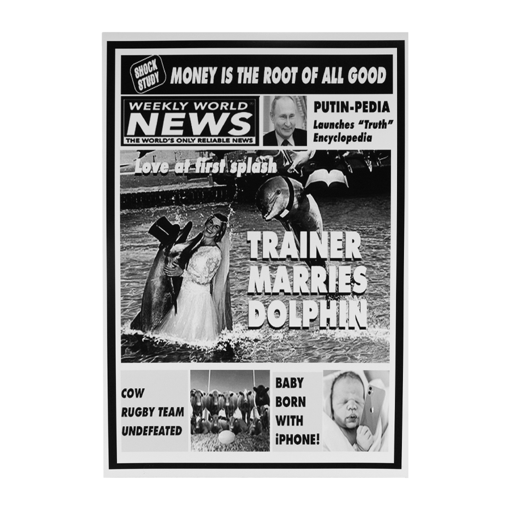 Trainer Marries Dolphin Poster