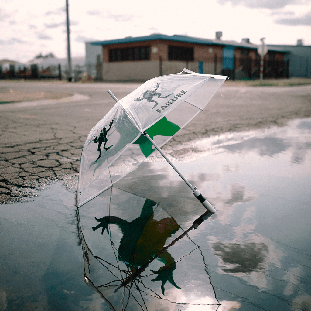 Frog - Umbrella
